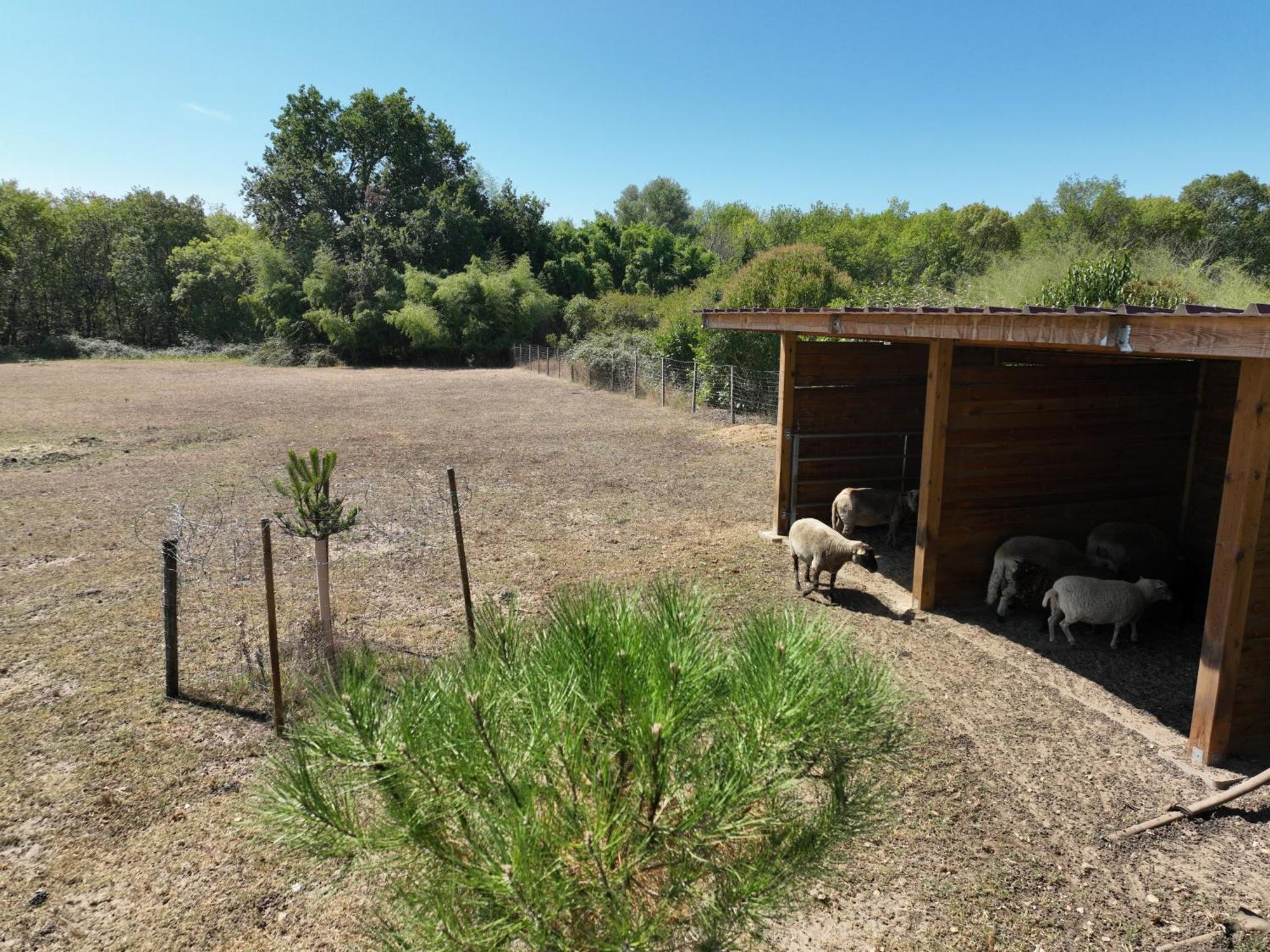 Villa Des Grands Crus Cadaujac Exterior photo